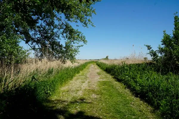 Landschaft  Moderne Ferienwohnung N°9 Stexwig mit Panorama Schleiblick