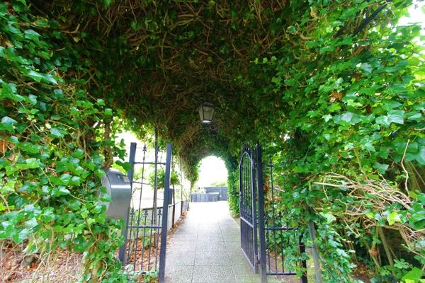 Hauptansicht  Alte Liebe - 4