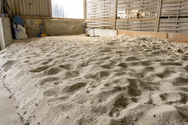  Seadrift Strandgut Tating - Sandkasten