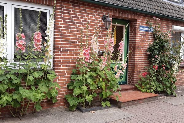  Haus Sonnenblume Halbinsel Eiderstedter - 