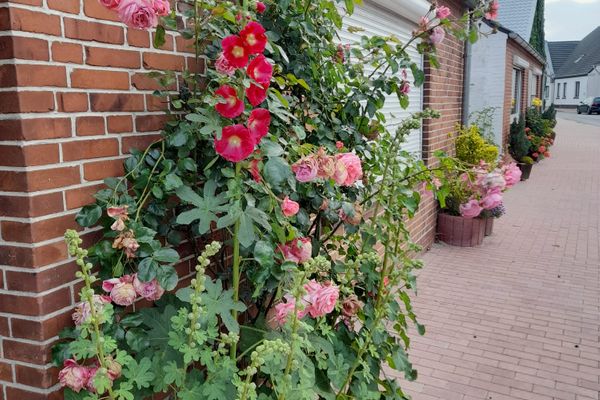  Haus Sonnenblume Halbinsel Eiderstedter - 