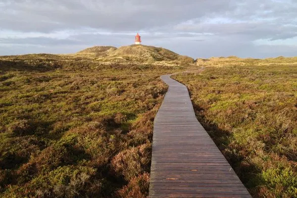 Bohlenweg durch die Dünenlandschaft auf Amrum Haus *Therese* Ferienwohnung *Therese 8*