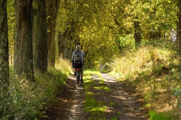 Ferienhaus Sonnenschein in Jabel Fahrradwege in der Natur  Sonnenschein