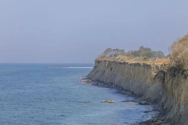 Strand  Strandflieder