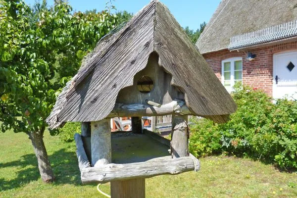 Ferienhaus Backbord in Süddorf auf Amrum Haus *Strandweg 8* Friesenhaushälfte *Backbord*