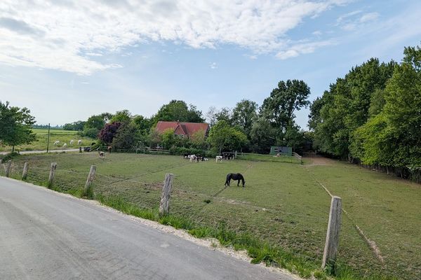  Kleeblatt-Dairy Kating / Katingsiel - 