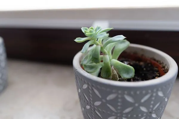  Haus Kehrwieder Wohnung Nordsee