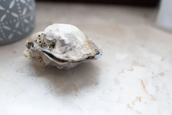  Haus Kehrwieder Wohnung Nordsee