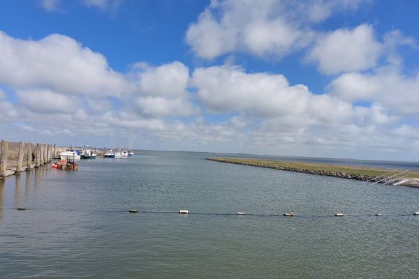  Haus Sonnenblume Halbinsel Eiderstedter - Wasser