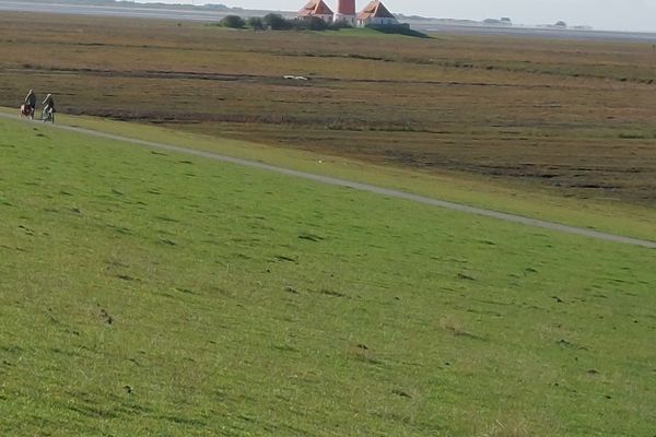  Haus Sonnenblume Halbinsel Eiderstedter - Leuchtturm