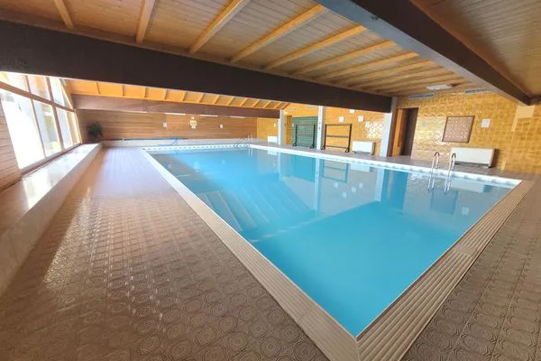 Pool  Apartment Svea by FiS - Fun in Styria
