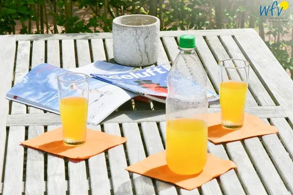 Dekoratives Detail Ferienhaus "Meine Insel Juist" Ferienwohnung Düne