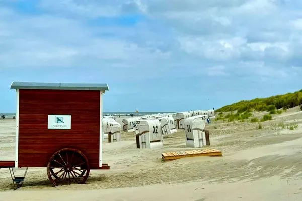   De Balken - 3 Strandgut