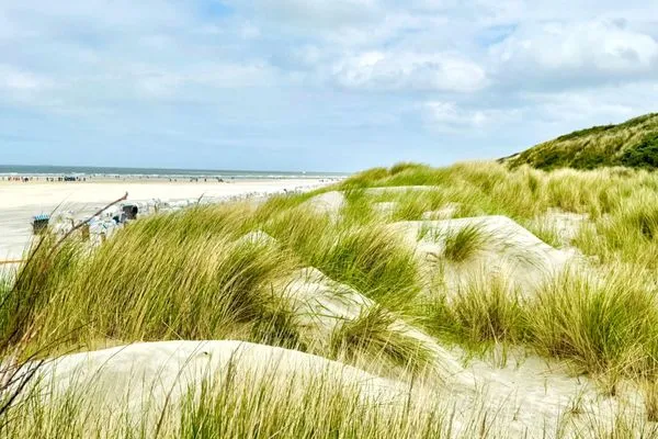   De Balken - 3 Strandgut