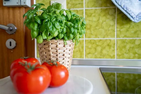 Küche / Küchenzeile  (STR90a) Ferienwohnung "Haus Diana 1" F***