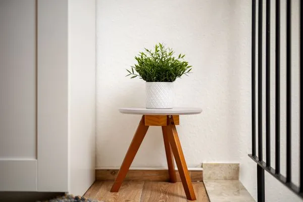 Dekoratives Detail  Waldblick