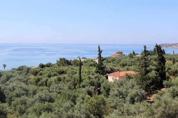 Vogelperspektive  Rigotis 2