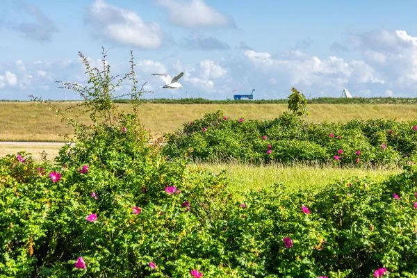   Appartement Deichperle