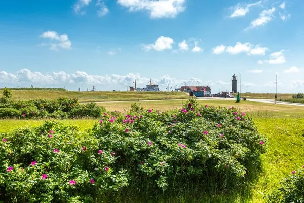   Appartement Deichperle