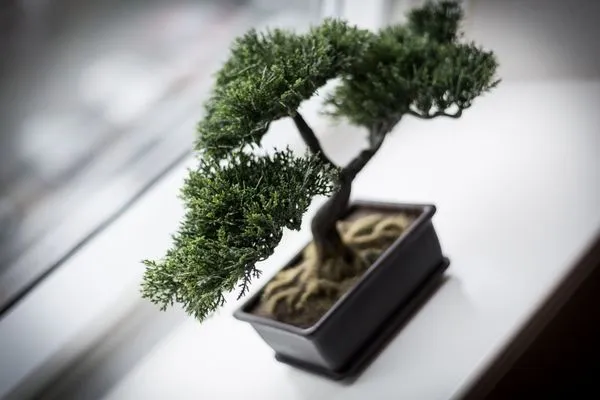 Dekoratives Detail  Strandstr. 6, Whg. 22