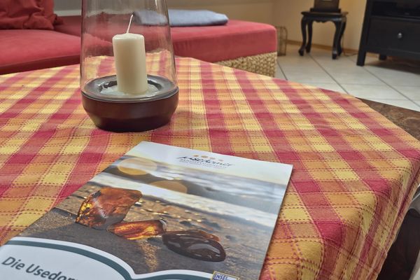  Fewo Am Dünenwald Zempin Zempin - Dekoratives Detail