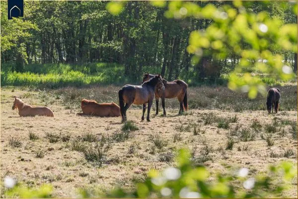  Green Village My Second Home