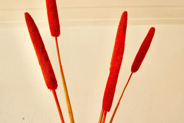 Dekoratives Detail Haus Elisabeth-Anna-Straße 9 Ferienwohnung 11