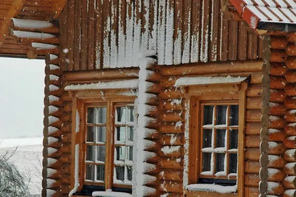 Hauptansicht  Economy Blockhaus Fernando Magellan