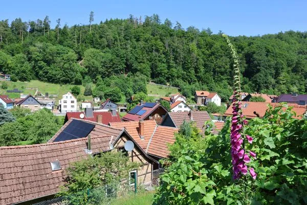 Blick über die benachbarten Häuser  Haus im Grünen