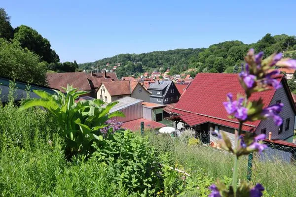 Blick über Steinach und ins Tal hinunter  Haus im Grünen