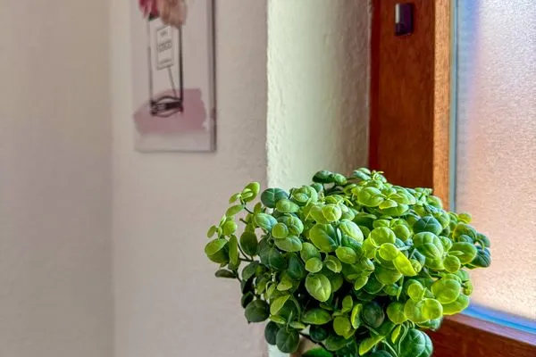 Guest WC  Wohnperle Bauernhaus Meusegast Dresden Sächsische Schweiz