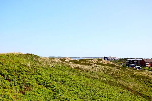 Landschaft  Dünengrund 3, Whg. 5, liebeUNDträume