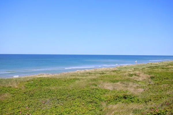 Landschaft  Dünengrund 3, Whg. 5, liebeUNDträume
