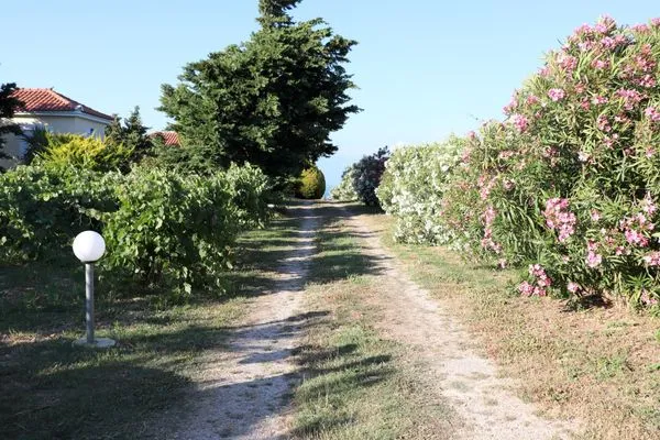 Neighbourhood  Orfanos 1