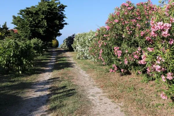 Neighbourhood  Orfanos 2