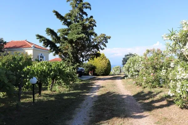 Neighbourhood  Orfanos 4