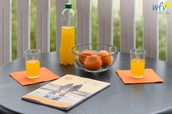 Dekoratives Detail Villa Sommerwind Ferienwohnung 6