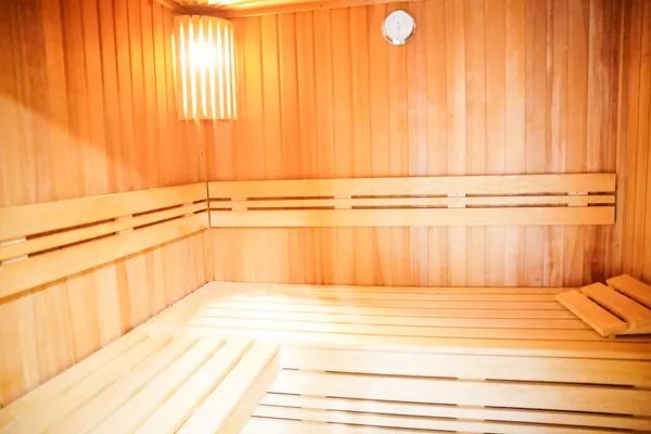 Sauna  Waldpanorama