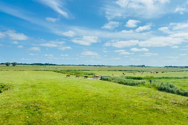  Huus Sünnschien Ording - 