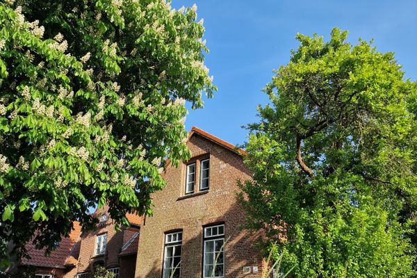  Tetenbüllerbü - immer schulfrei ! Poppenbüll,Osterhever,Tetenbüll - Ferienhaus