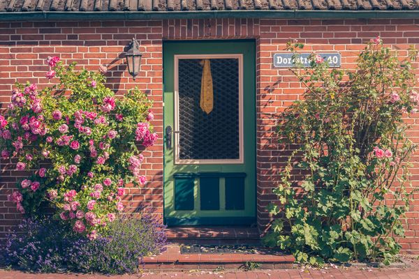  Haus Sonnenblume Halbinsel Eiderstedter - Haupteingang