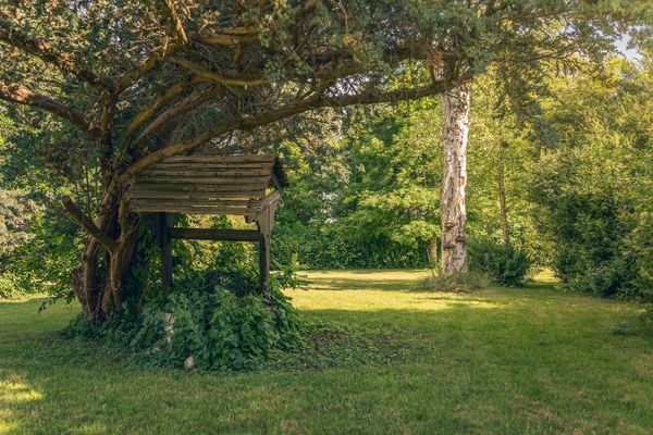  Haus Sonnenblume Halbinsel Eiderstedter - Baum