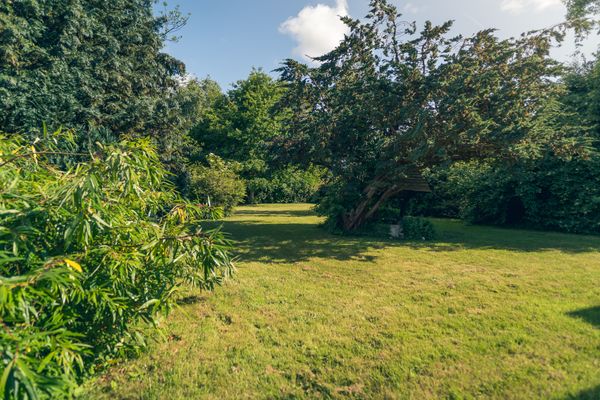  Haus Sonnenblume Halbinsel Eiderstedter - Rasenfläche