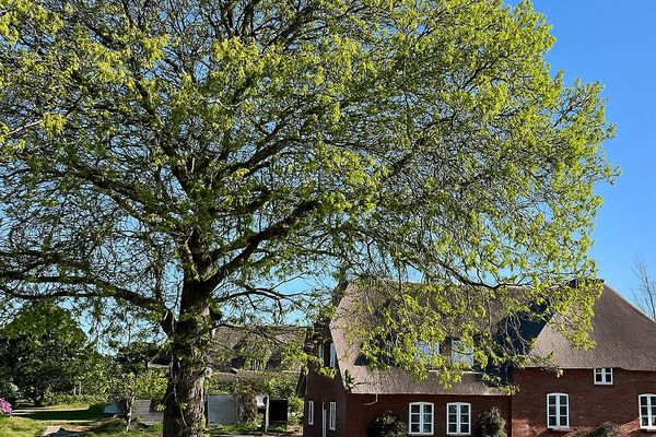  Fährmanns Hüs Wohnung Achterdeck Nebel - Hauptansicht
