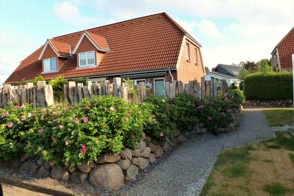  Böhler Meeresbrise Böhl - 