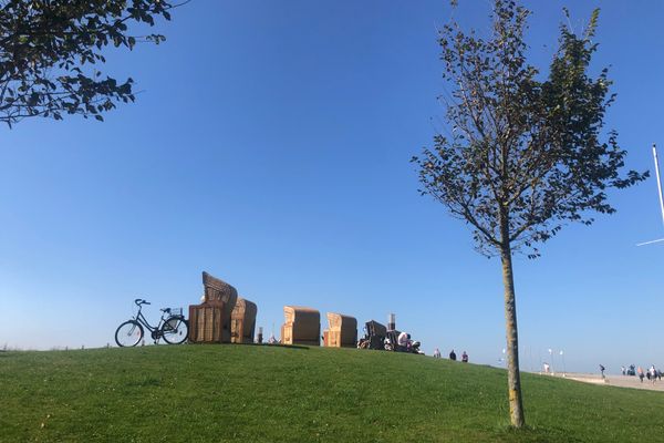  Böhler Meeresbrise Böhl - 