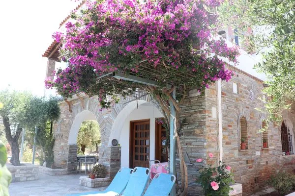 Hauptansicht  Blue Fox 1