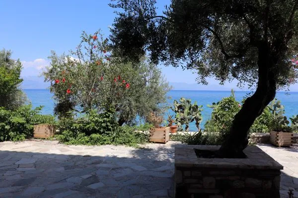 Terrasse  Blue Fox 1