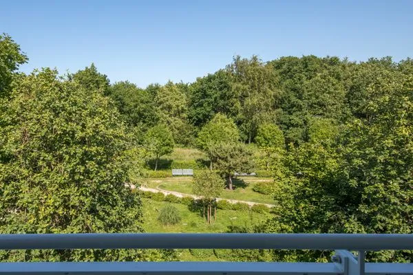 Ferienwohnung Seestern Zingst Blick in den Garten  Seestern