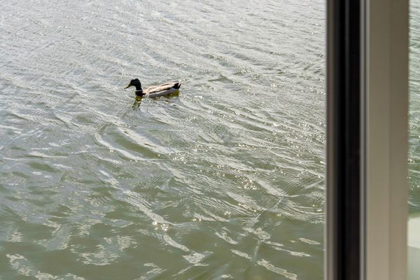  Urlauberschiff Störtebeker Prerow - Dekoratives Detail